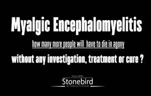 how many more will have to die ?
